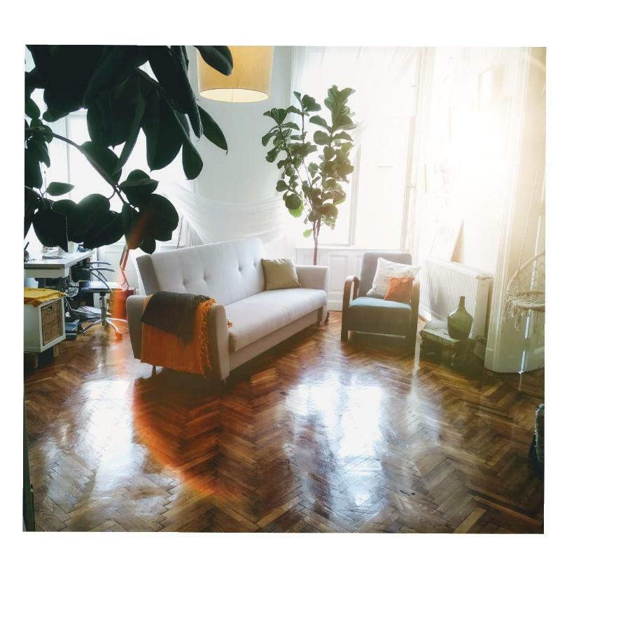 Jolie Apartment In Historical Center Budapešť Exteriér fotografie