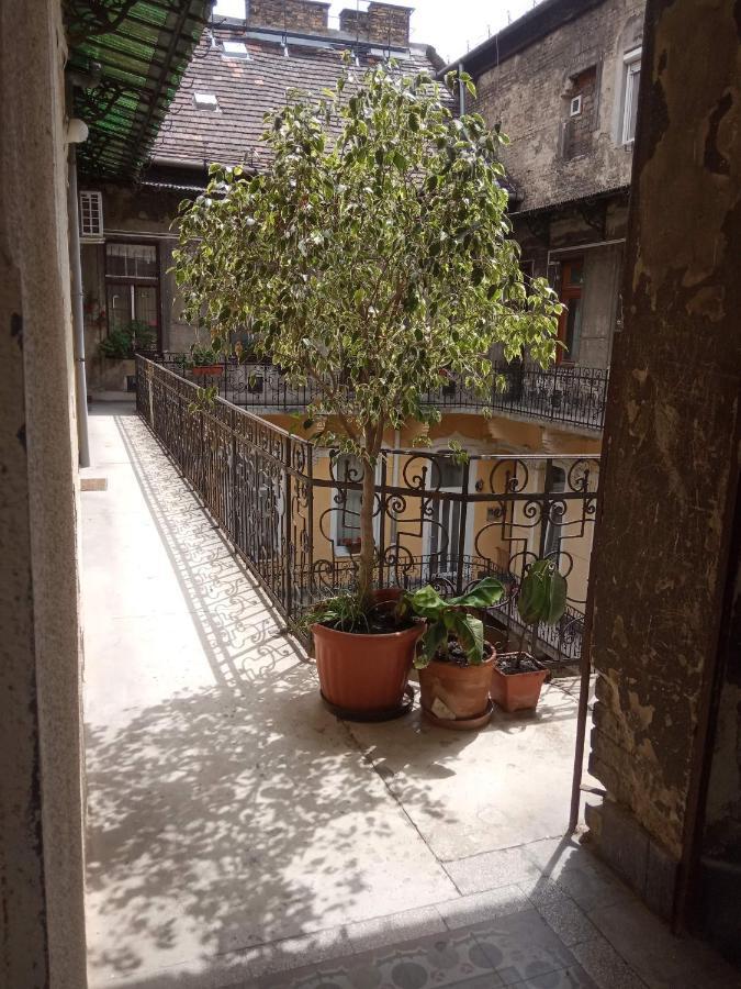 Jolie Apartment In Historical Center Budapešť Exteriér fotografie